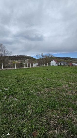 Teren drept ca-n palma - 3