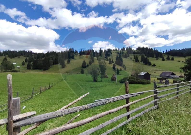 Teren de 14318m.p. in Paltinis, la 100m de strada Princi... - 6