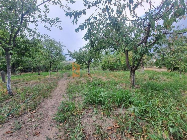 Casa si livada zona Pietroasele - 3