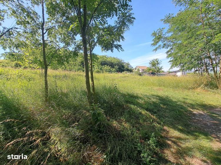 Teren intrvilan in Ciugud -Drambar - 5