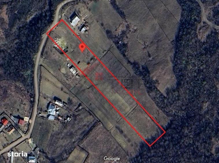 Teren Tomesti 3750MP - 3