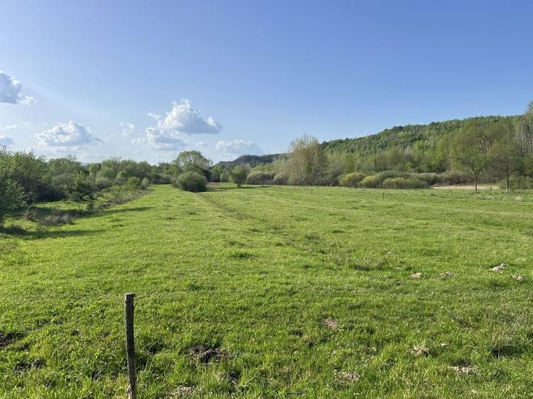 case la tara + teren de 13.000 mp - 1