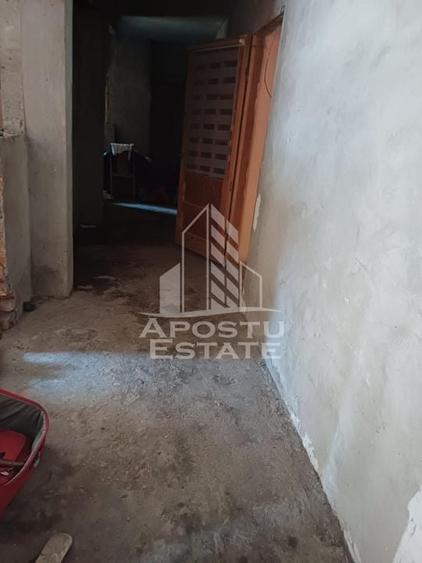 Casa individuala in Cruceni ,la granita cu Serbia - 5