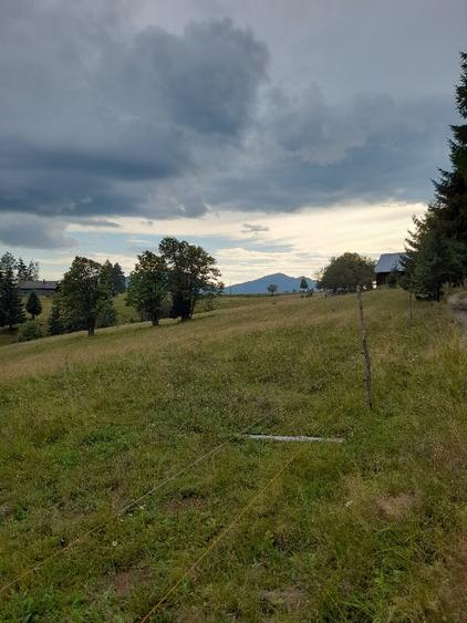 Teren intravilan 25 de arii, Piatra-Fantanele  - 1