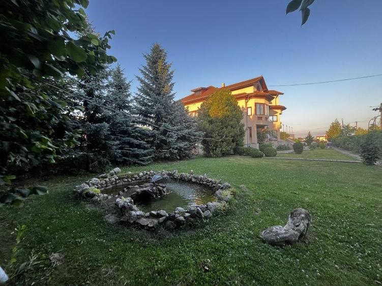 Vila cu piscina - 12