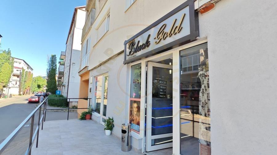 Spatiu Comercial cu Afacere la Cheie - Str. C. Coposu - Carei - 10