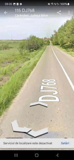 Se vinde teren intravilan 2500mp carandeni comuna Lazaren - 8