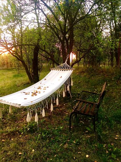 Proprietate autentica cu potential turistic lângă satul Viscri,  judetul Brașov - 45