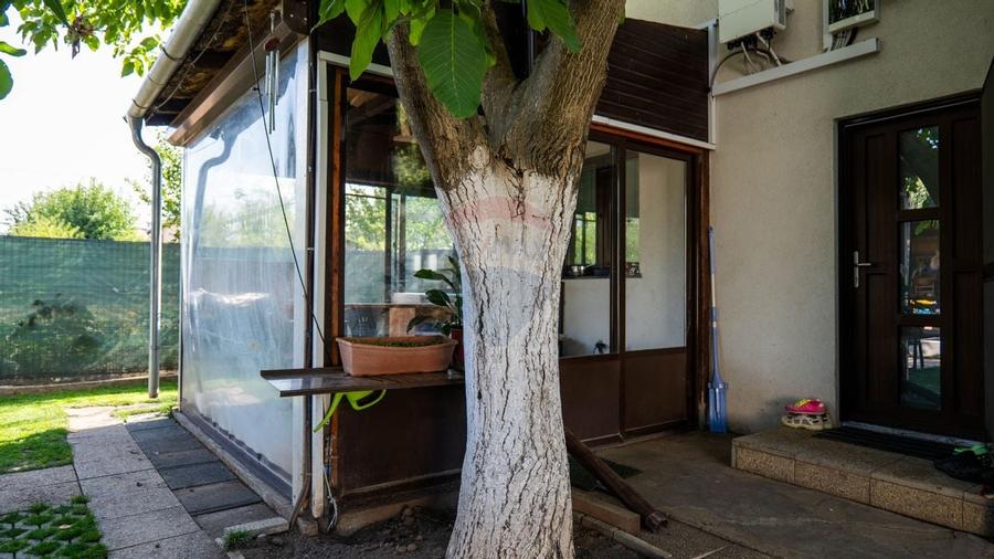 Oferta - Vila cu 4 camere, langa Bucuresti, Postavari - Calarasi - 7