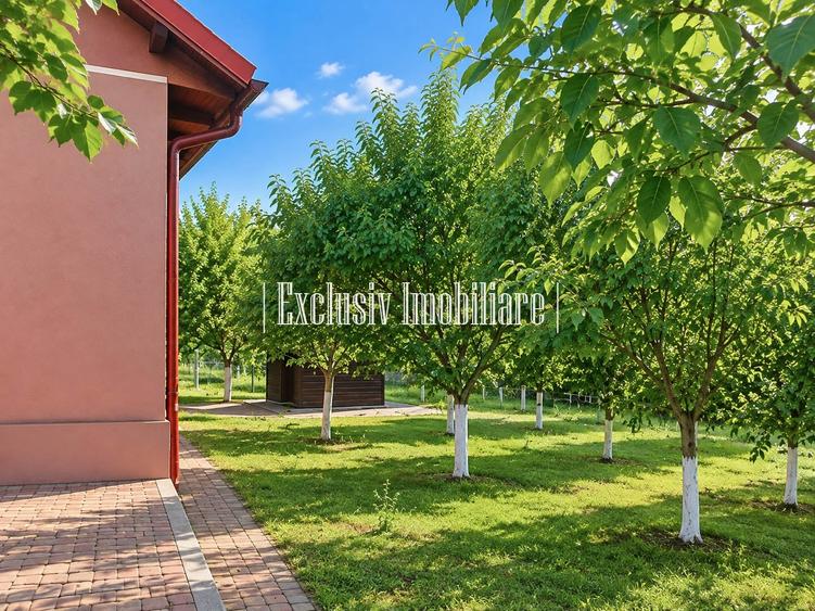 Casă cu 4 camere cu Teren 3000 Mp în Adamclisi