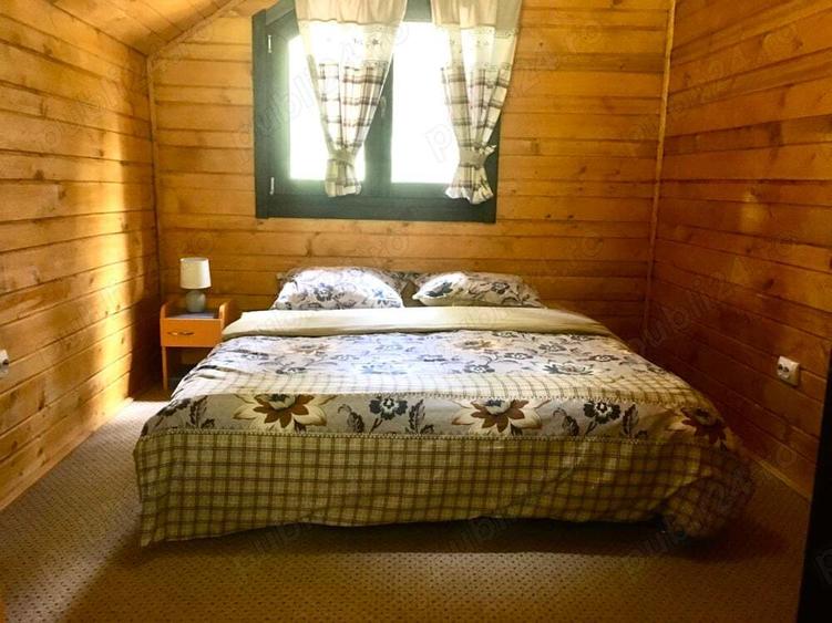 Casa din grinzi pe marginea paraului Borzont - 3