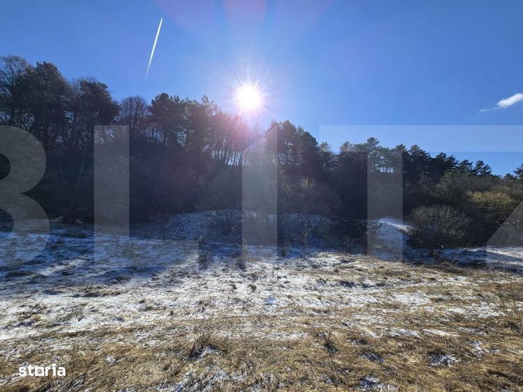 Teren intravilan 4000 mp | Panorama superba | Langa statia meteo - 3