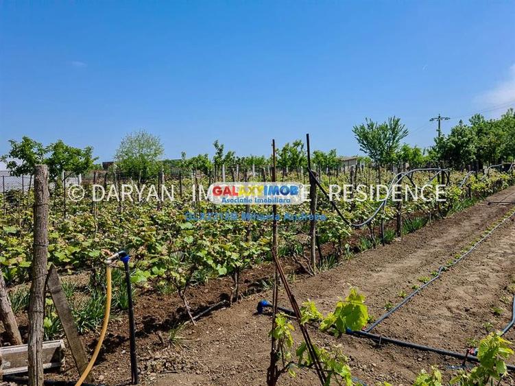 Teren in Poienari Apostoli, 21 E mp, Avantajos, DN1, 34.500 euro - 2