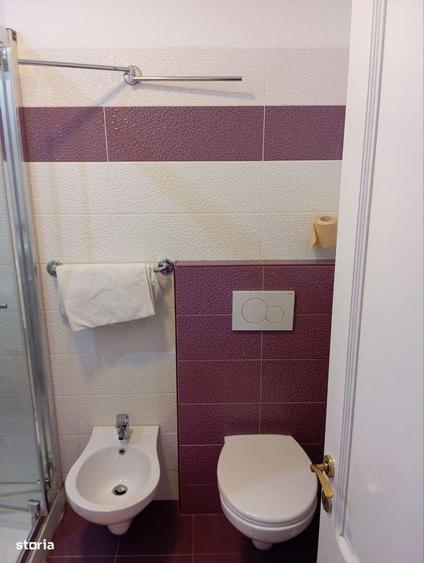 Vila/Pensiune/Minihotel/vanzare /inchiriere Centru Casa Casatoriilor - 8