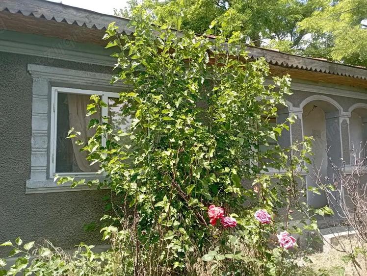 Vand casa in comuna Drago? Voda - 5