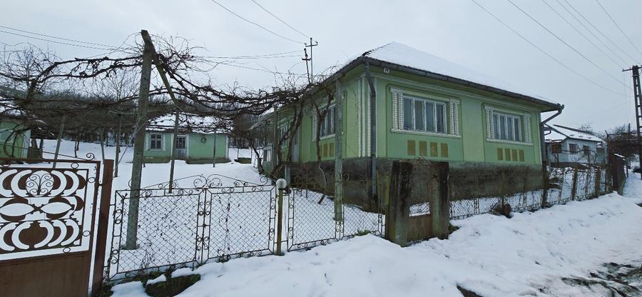 Casa cu Anexe, Gradina + 2Ha Terenuri - 1