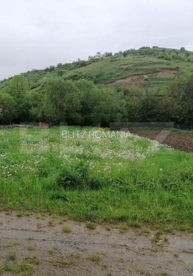 Oportunitate Vlaha ! Teren Intravilan, 900 mp,plan drept !