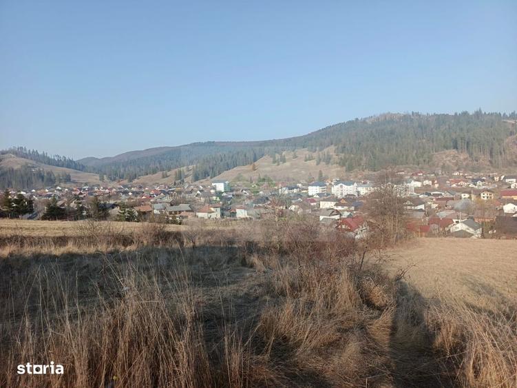 Teren extravilan 3000 mp de vanzare - 4