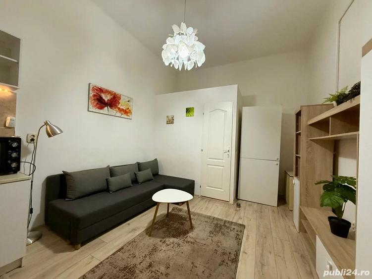 Persoana fizica Inchiriez garsoniera in zona ultracentrala - 4