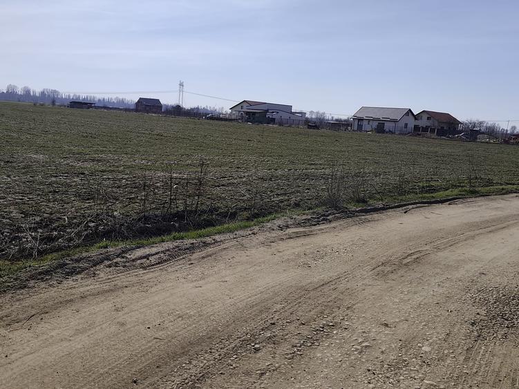 FARA COMISIOANE in Sabareni teren in suprafata de 23200mp gaze curent la teren - 9