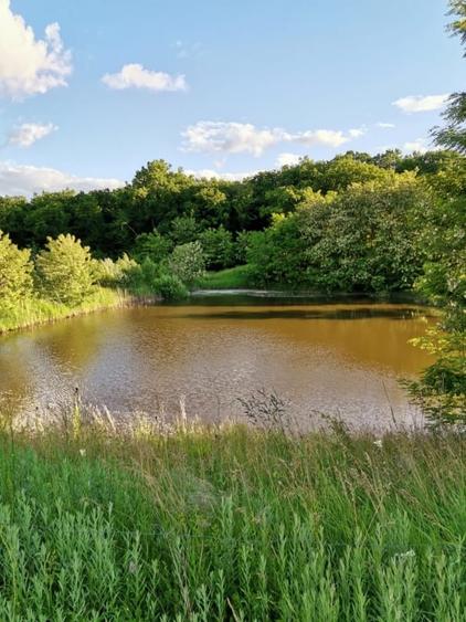 Ferma Zootehnica la standarde Europene - 4