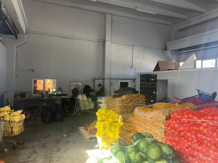 Hala industriala pentru depozitare sau productie in Danubiana - 11