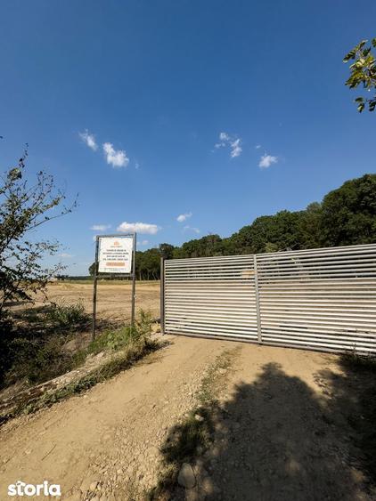 Lot de teren la pret promotional- cu deschidere la padurea Snagov! - 9