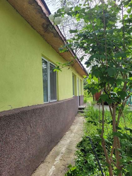 Teren 2712 mp Mischii, sat. Urechesti, Str Florilor, Nr. 56 - INTRAVILAN - 4