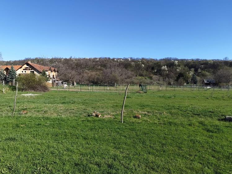 Teren intravilan la intrare in satul SIBIEL - 4