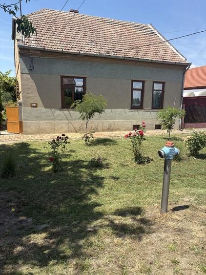 Vand casa Bulgarus! - 4