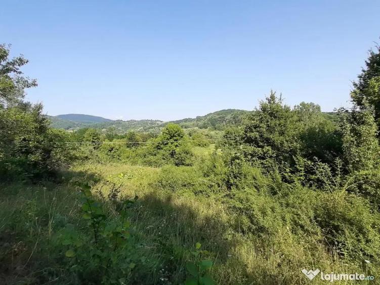 Teren superb Valcanesti Prahova - 5