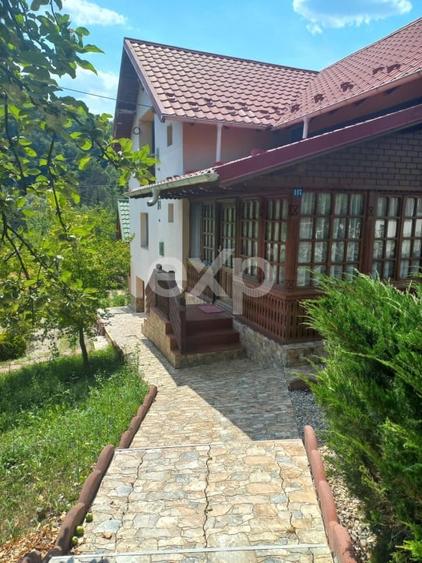 Casă la țară complet mobilată, 5.500 mp teren – Toplița, Mălureni, Argeș - 6