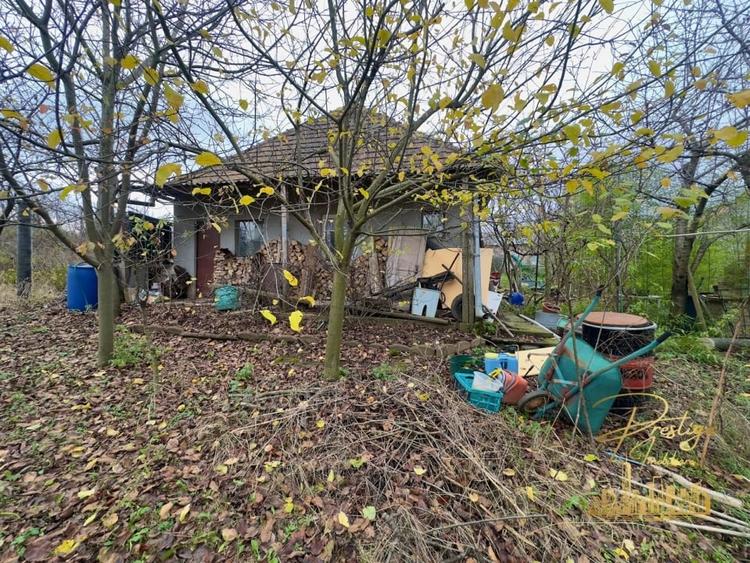 Casa P+M si teren de 1200 mp de vanzare in Uileacu de Munte - Bihor - 23