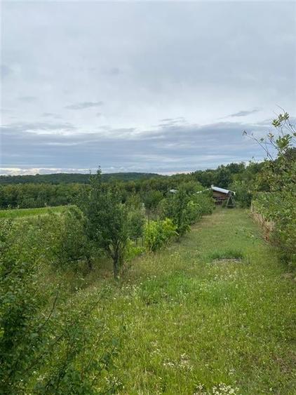 RECO Casa cu teren  in Hidiselul de Sus - 9