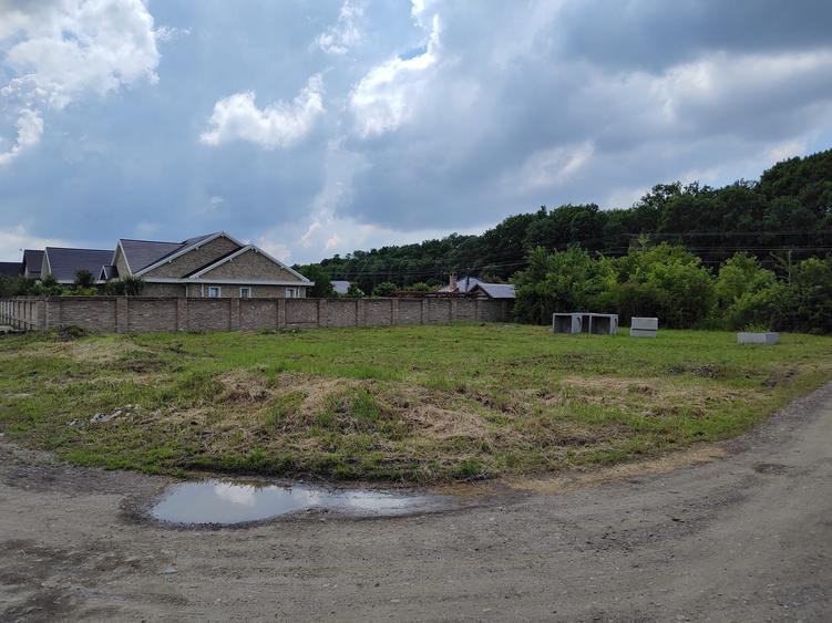 Teren de vanzare aproape de Muzeul Satului Banatean - Giarmata Vii - 3