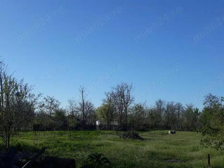 Casa + Teren 2900mp de vanzare - 3