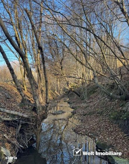 Teren spectaculos, intravilan, Feleacu, zona linistita, padure + para - 5