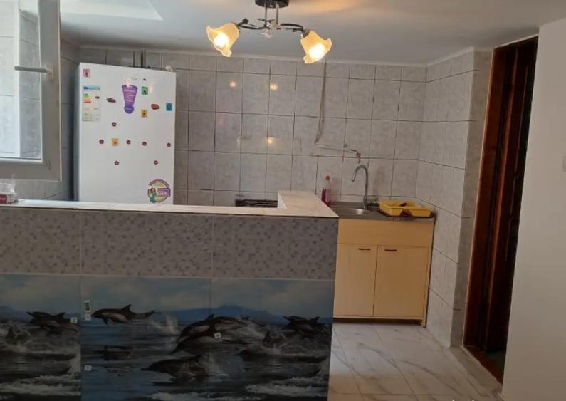 Casa in Certeju de Sus, Hunedoara, persoana fizica - 12