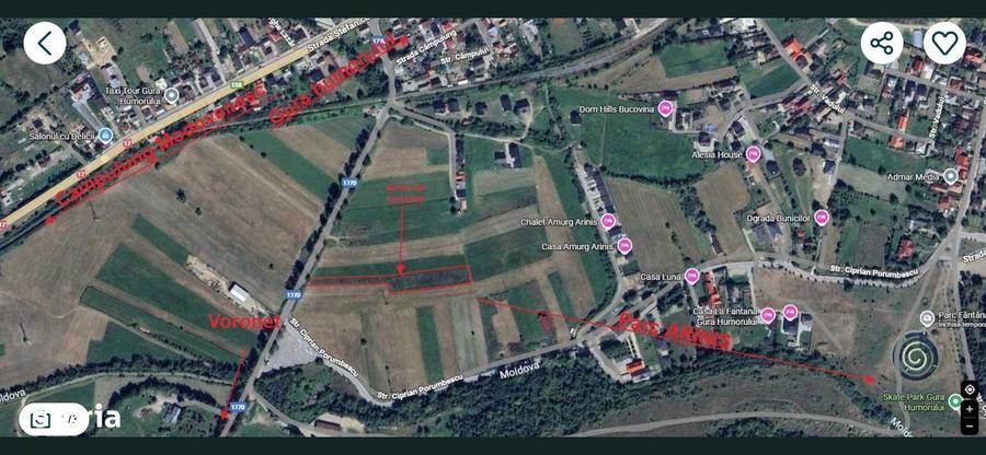 Vand teren 3844 mp Gura Humorului - Voronet - Arinis - 2