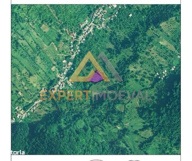 Teren 40 de arii Chiuzbaia - 2