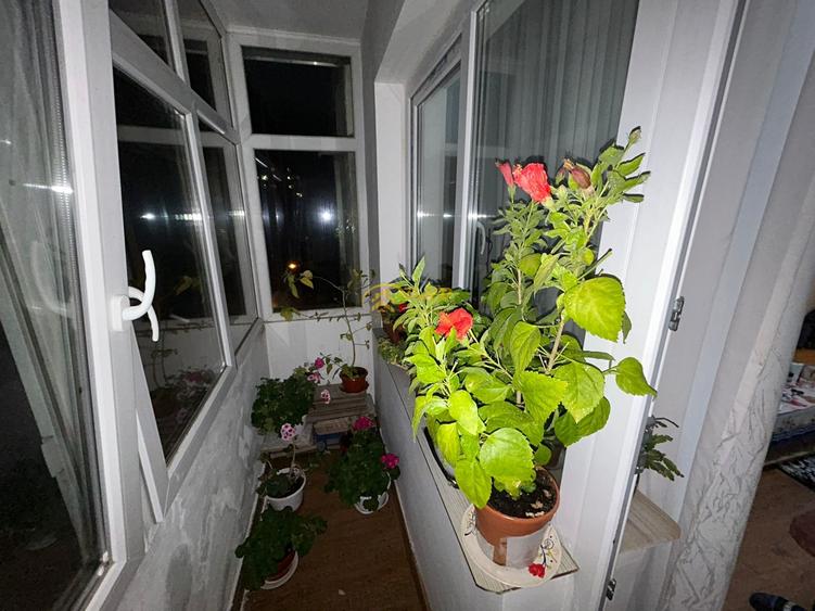 Apartament 3 camere - Podul de Piatră - 8