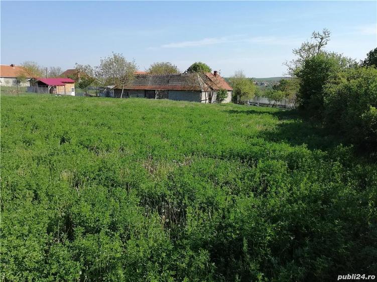 Vand Casa Clopodia - 3