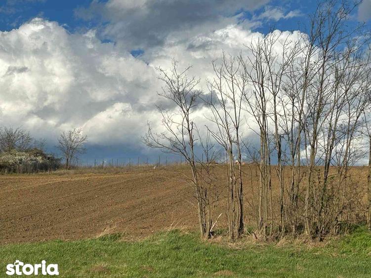 Parcele teren 430 mp extravilan Rediu loturi ideale pt investi?ie - 8