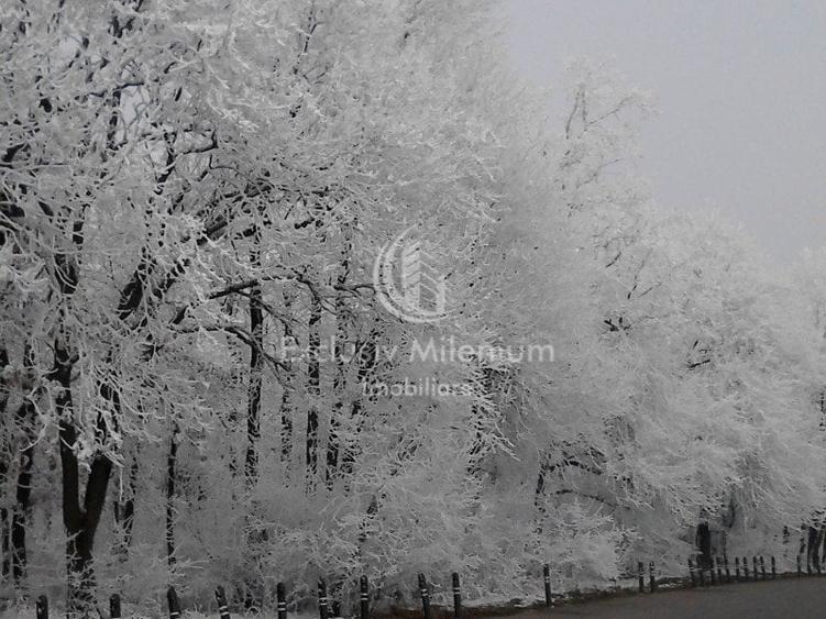 Casa la Padurea Rosu 650 Mp + Teren ideal Activitati Comerciale/Birouri - 12