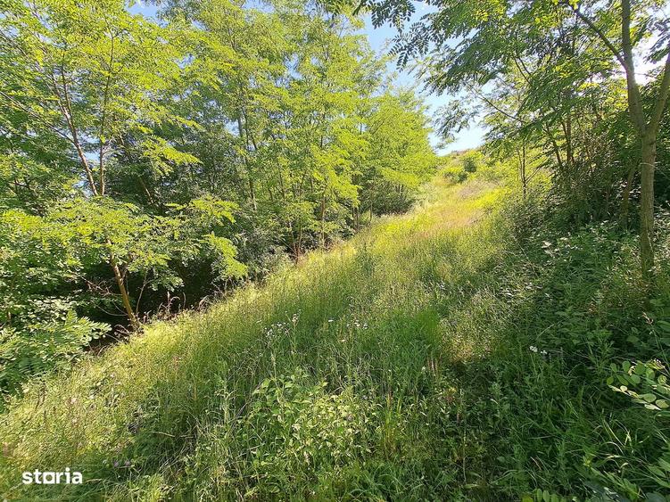 Teren intrvilan in Ciugud -Drambar - 6