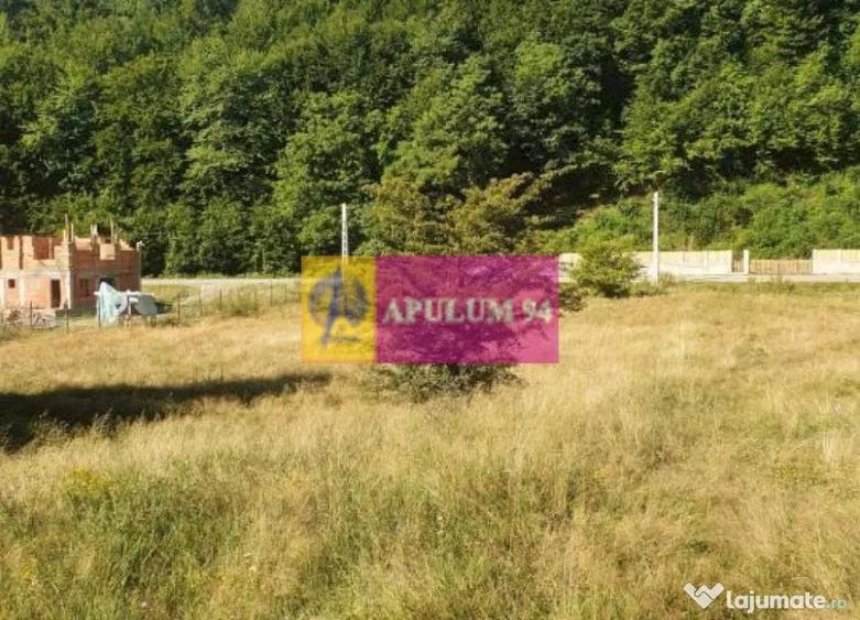 Teren Jude?ul Valcea - Brezoi, Valea lui Stan - 5
