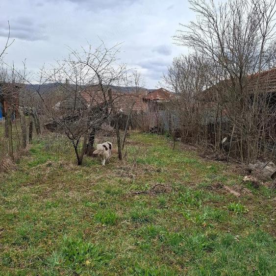 Casa Comuna Balanesti sat Voitestii din Vale jud. Gorj - 5