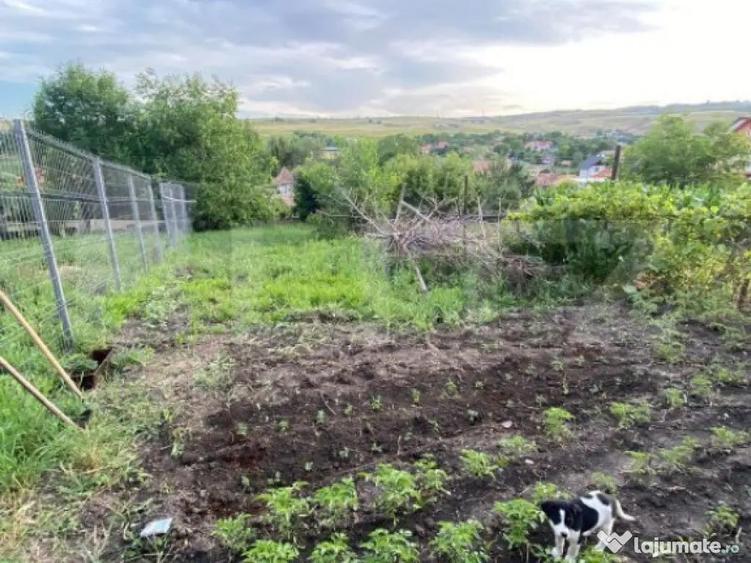 Duplex cu 2 camere de vanzare in Copaceni - 4