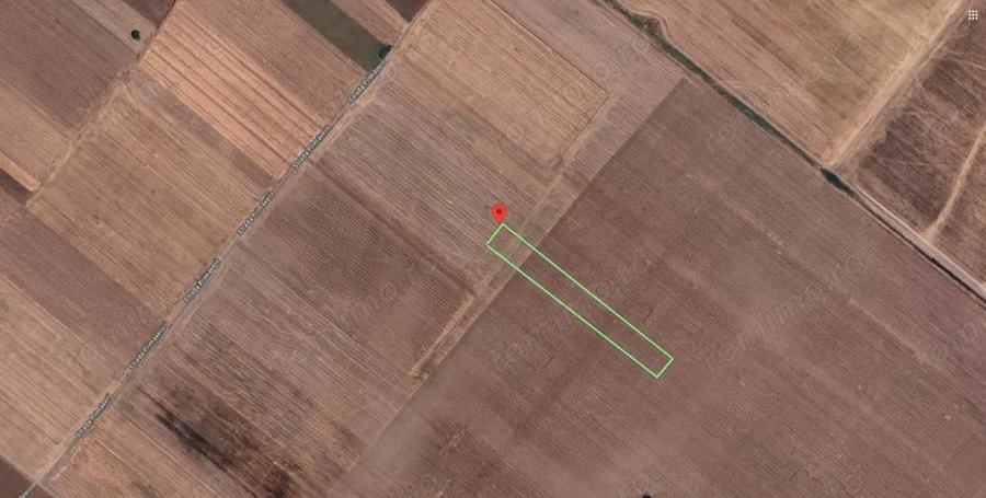 Teren Extravilan In Rate Primaverii Com. Berceni | 4997mp | #EG48 - 2