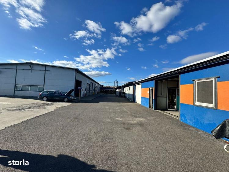 SERVICE AUTO Ultramodern (Business ultraprofitabil la cheie) - 8